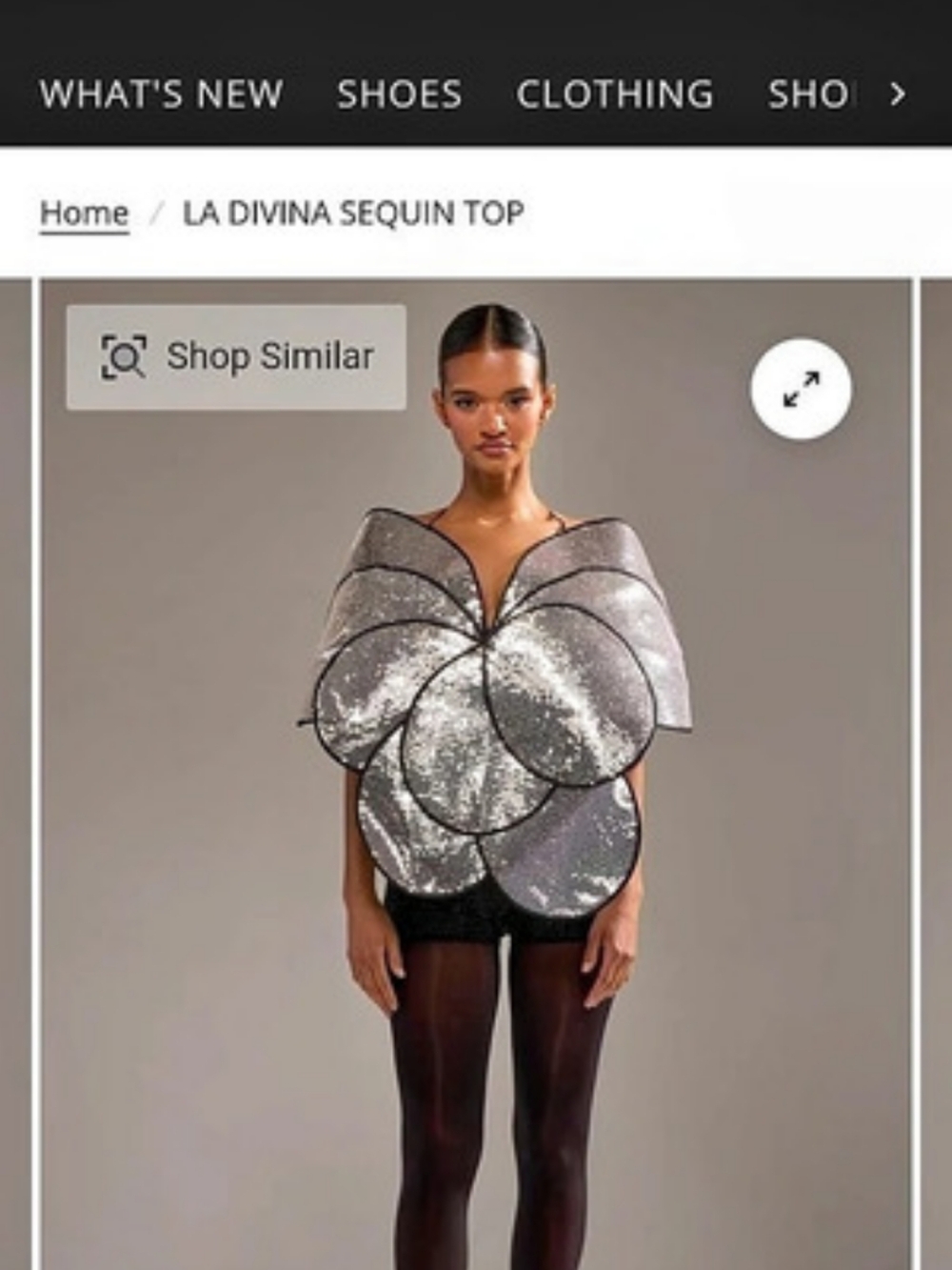 LA DIVIN Sequin Top Sequin Butterfly Crop Top in Silver & Black Like New